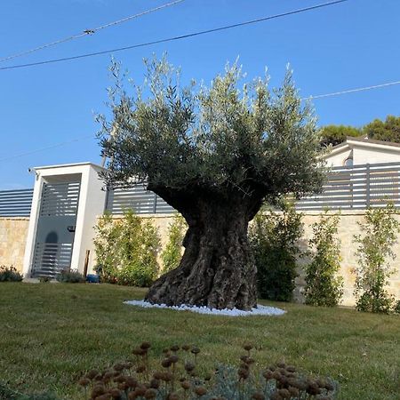 Villa Palladino Rooms Giovinazzo Bagian luar foto