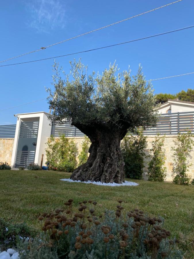Villa Palladino Rooms Giovinazzo Bagian luar foto
